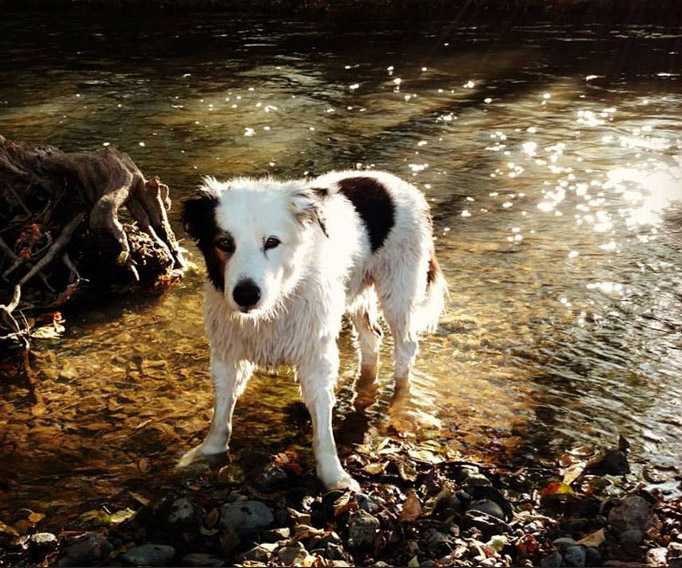 Dirk in Creek