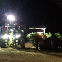 Rolling with the Crew: Machine Harvesting
