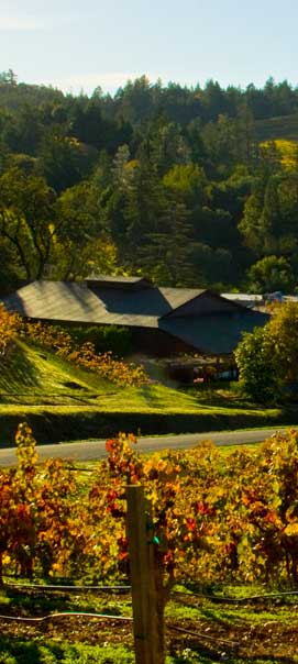 about winery