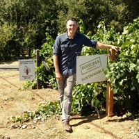 On Being Down To Earth: Sustainability Update
