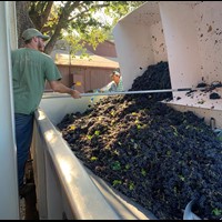 Harvest 2019-To be continued...