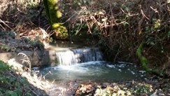 Jan 13 2017 Waterfall