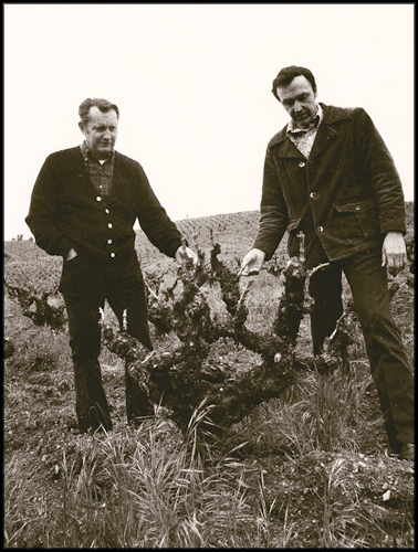 Johns with brother Jim in the vineyard circa 1970