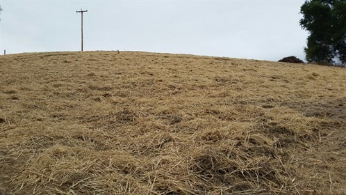 Hay HIll