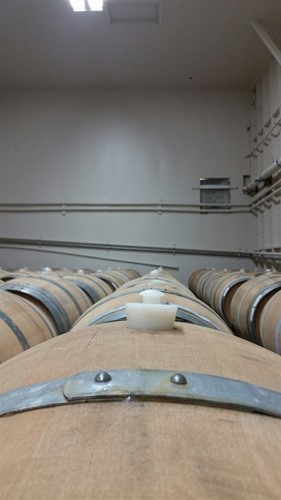 Chardonnay Barrels