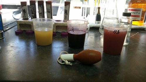 Lab Samples