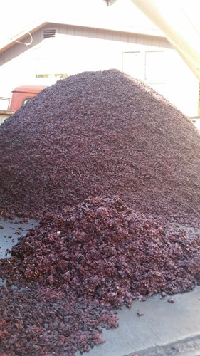 Pommace Pile
