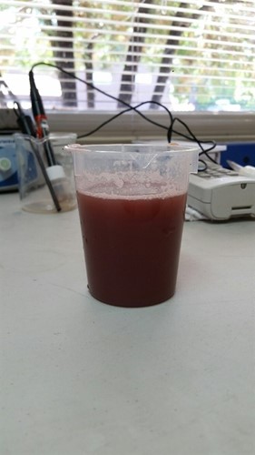 Zin Juice sample