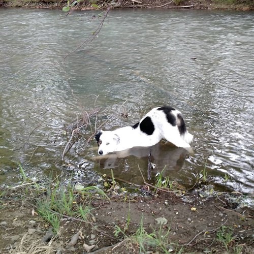 Dirk in Dry Creek