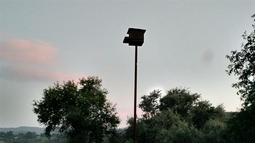 Owl Box in MC Vineyard