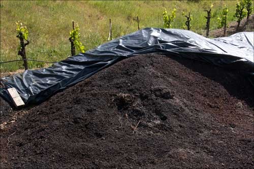 Pomace Pile