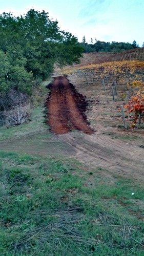Stems help Erosion control