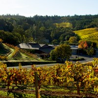 Come Home to Sonoma County