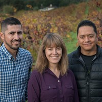 Cellar Update: Business as Usual in Unusual Times