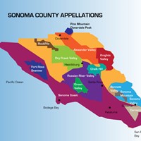 Down to Sonoma County Wine Month